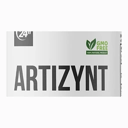 ArtiZynt